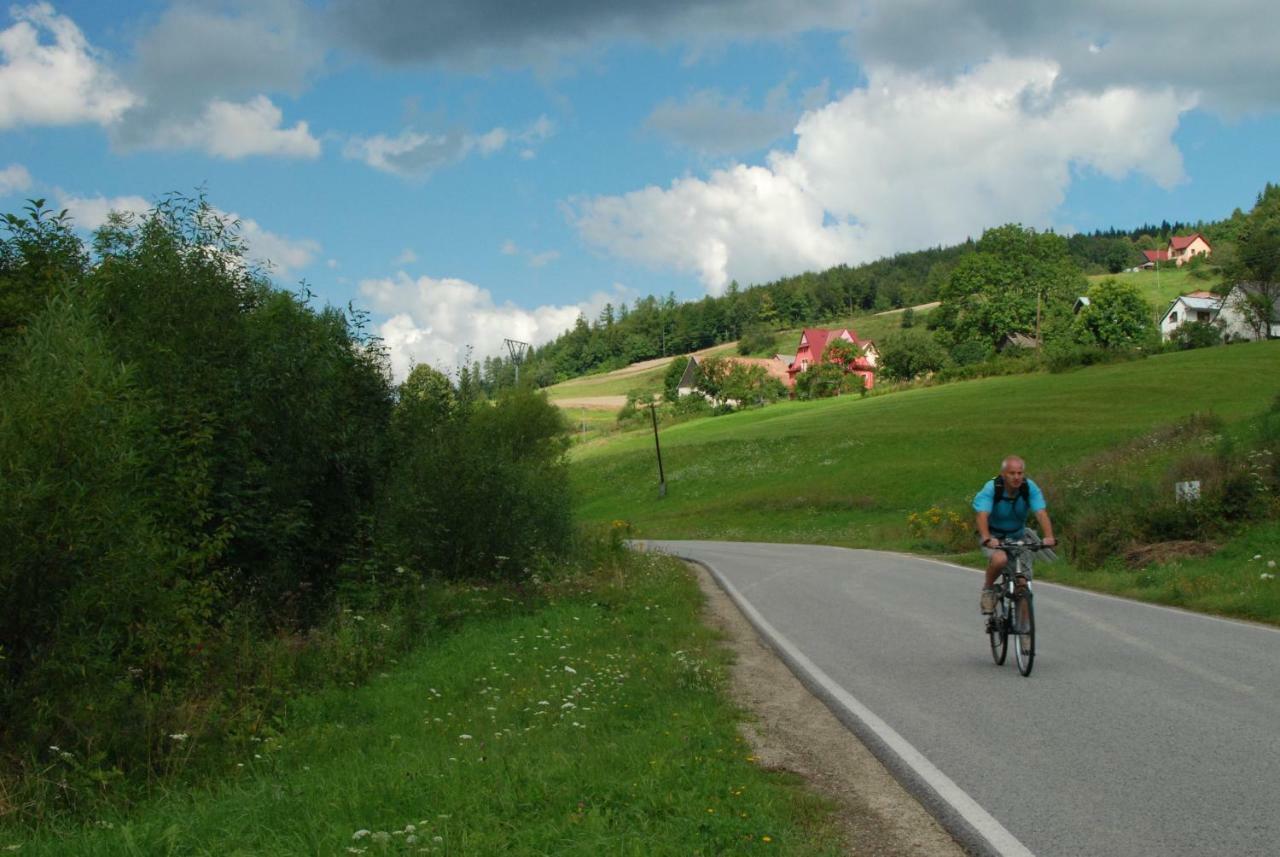 Malinowy Domek Mlynczyska Esterno foto
