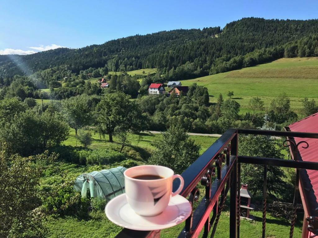 Malinowy Domek Mlynczyska Esterno foto