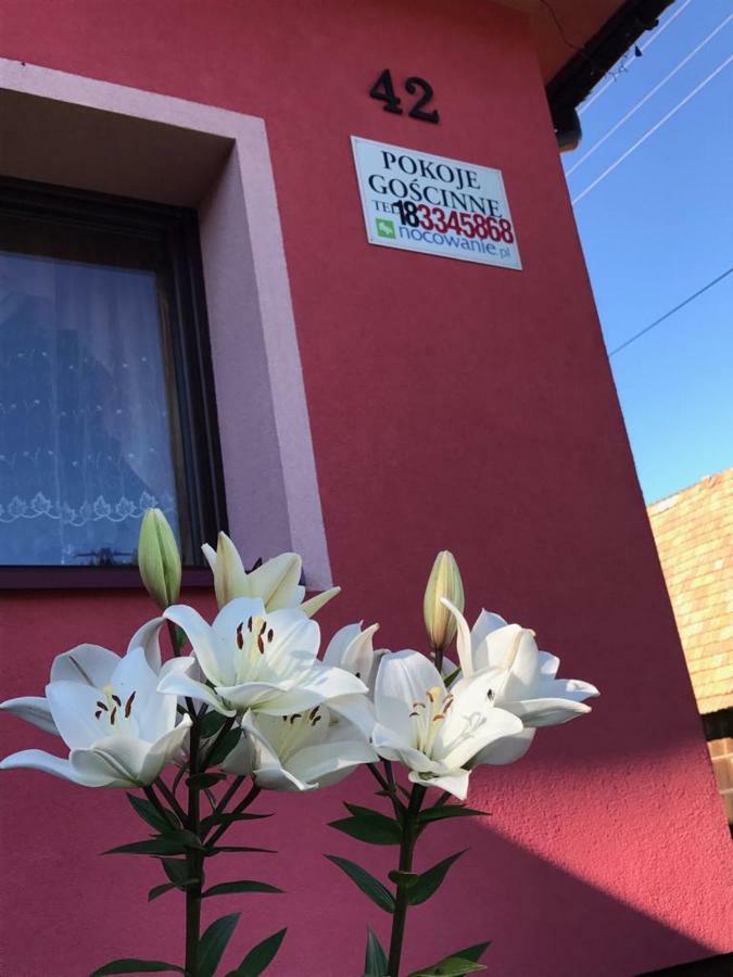 Malinowy Domek Mlynczyska Esterno foto