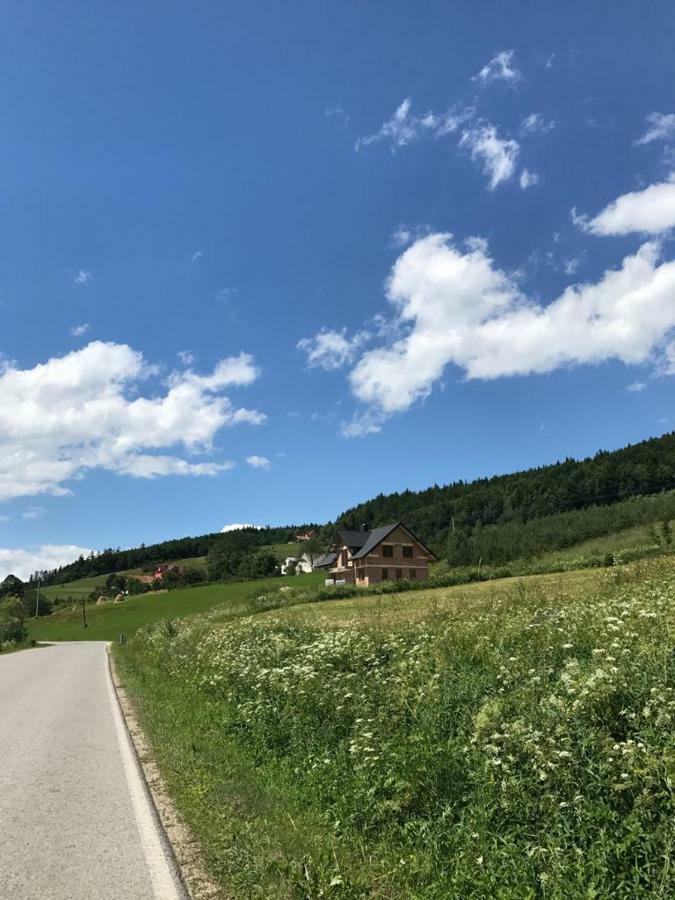 Malinowy Domek Mlynczyska Esterno foto