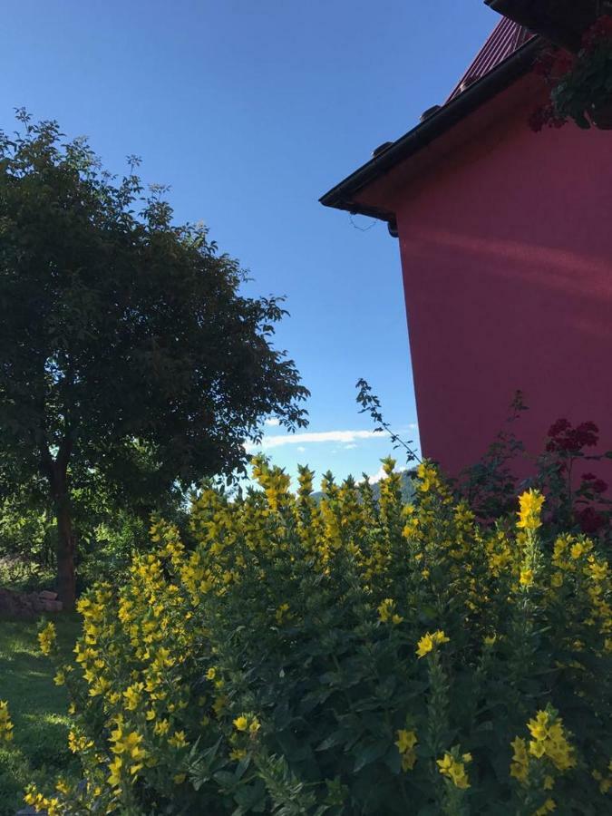 Malinowy Domek Mlynczyska Esterno foto