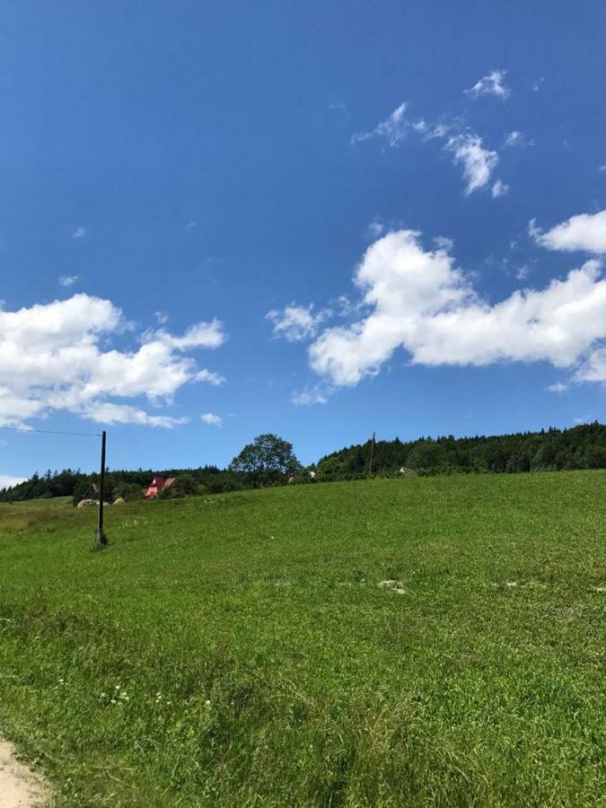 Malinowy Domek Mlynczyska Esterno foto
