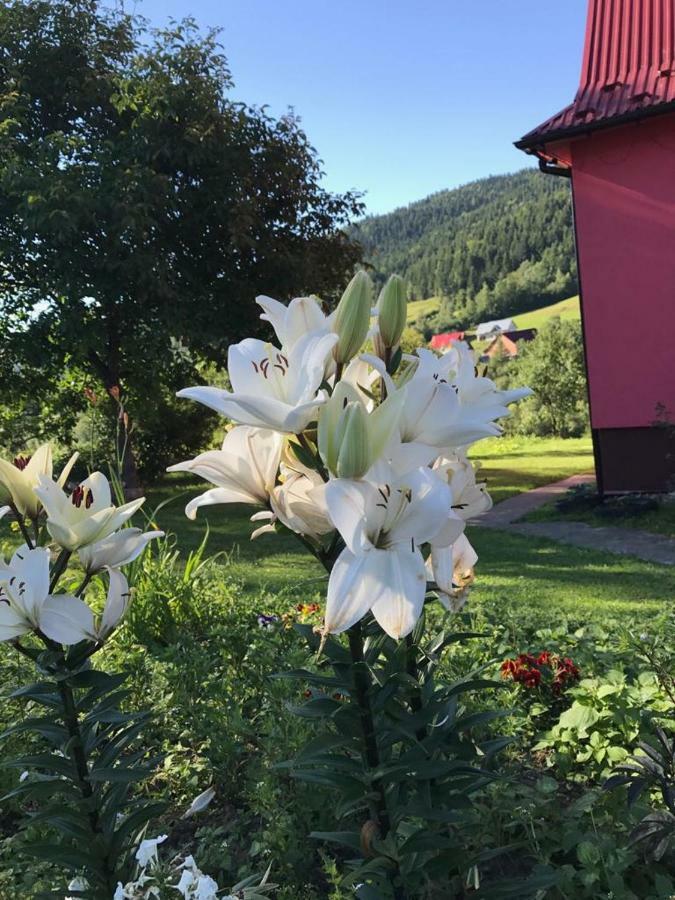 Malinowy Domek Mlynczyska Esterno foto