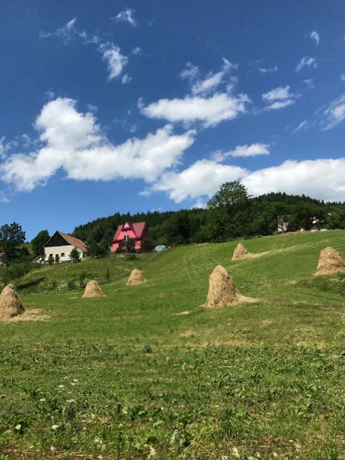 Malinowy Domek Mlynczyska Esterno foto